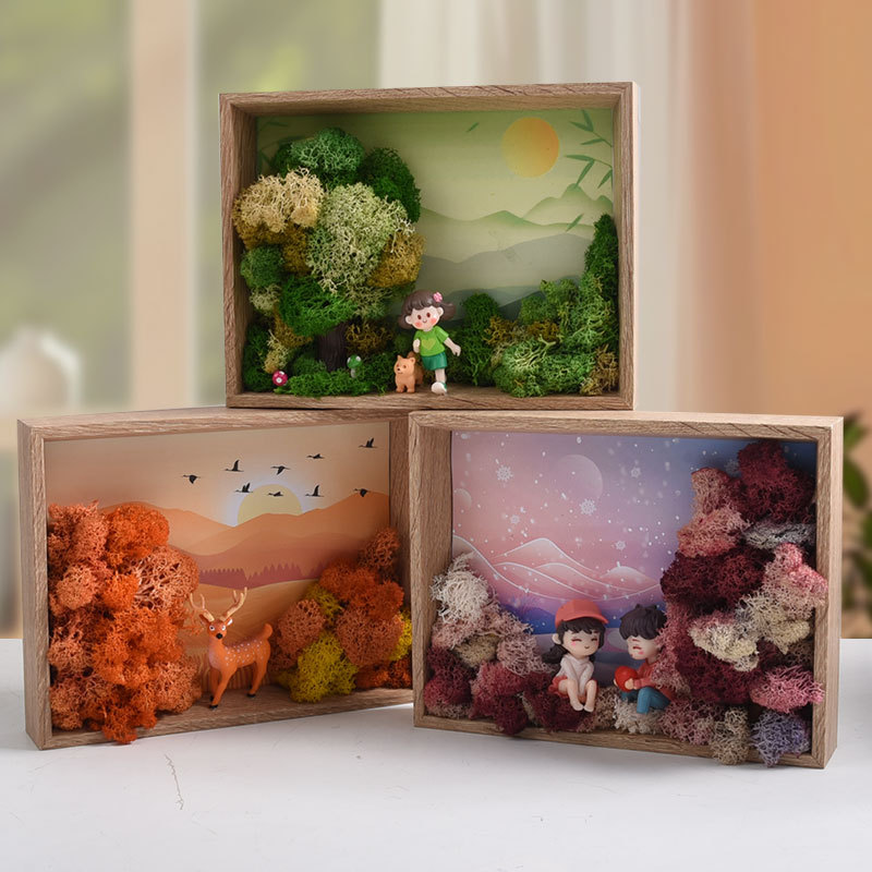 Seaweed Art DIY Kit - 3D Frame - đánh giá và giá Plant Parent Gift Set