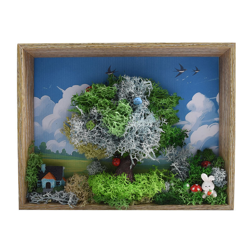 Seaweed Art DIY Kit - 3D Frame - đánh giá và giá Plant Parent Gift Set